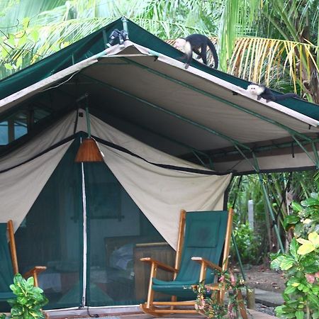 Rafiki Beach Camp Matapalo  Extérieur photo