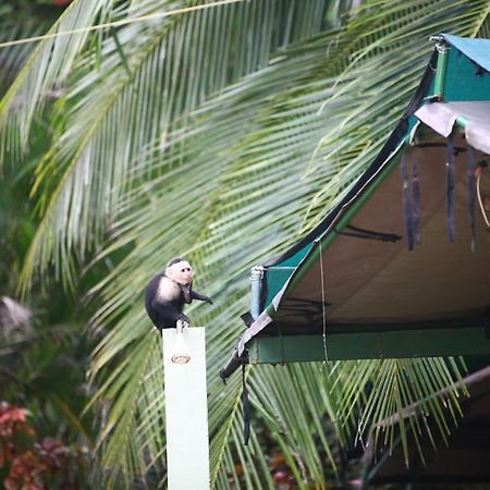 Rafiki Beach Camp Matapalo  Extérieur photo