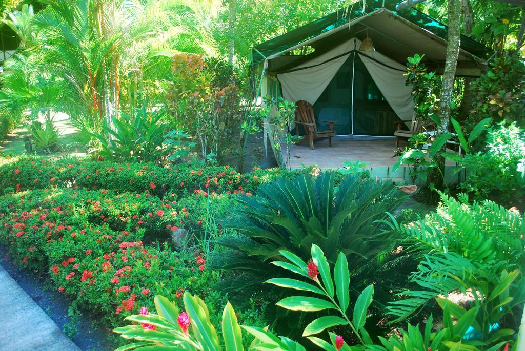 Rafiki Beach Camp Matapalo  Chambre photo