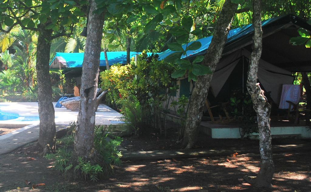 Rafiki Beach Camp Matapalo  Chambre photo