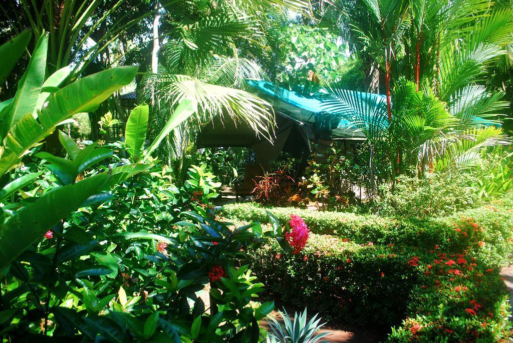 Rafiki Beach Camp Matapalo  Chambre photo